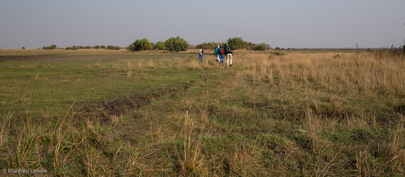 2019_Zambia_5D-0307.jpg