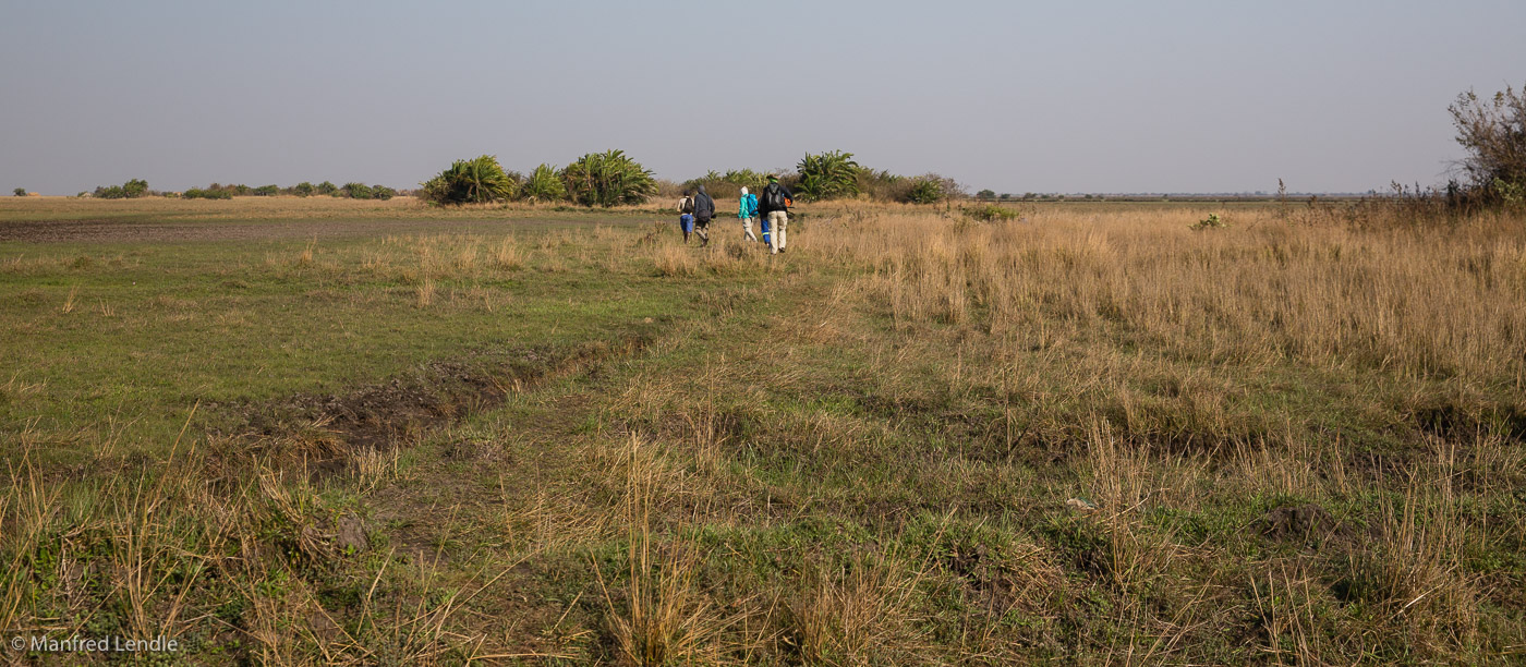 2019_Zambia_5D-0308.jpg
