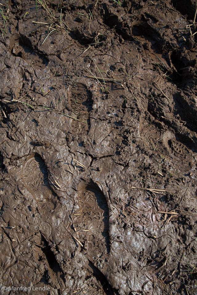 2019_Zambia_5D-0343.jpg
