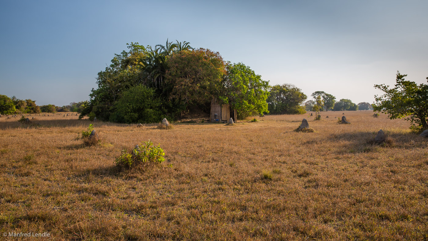 2019_Zambia_5D-0877.jpg