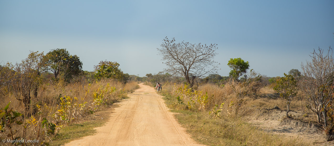 2019_Zambia_5D-1162.jpg