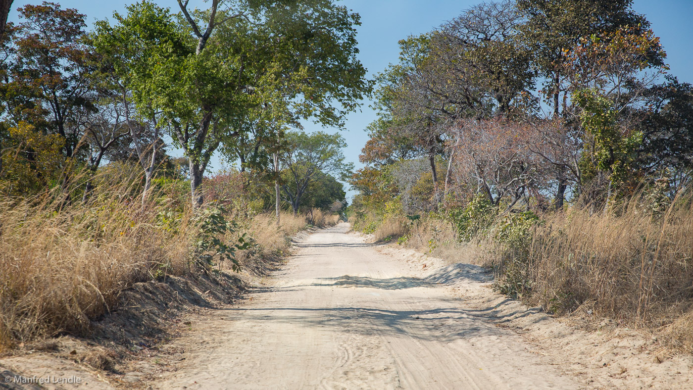 2019_Zambia_5D-1195.jpg