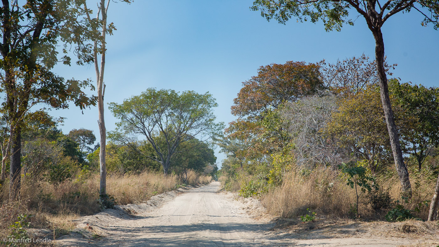 2019_Zambia_5D-1196.jpg