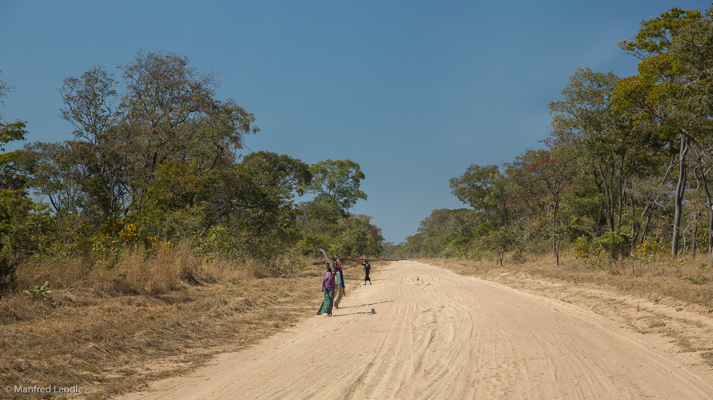 2019_Zambia_5D-1212.jpg