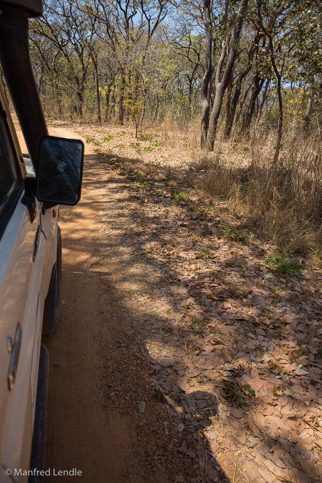 2019_Zambia_5D-9982.jpg