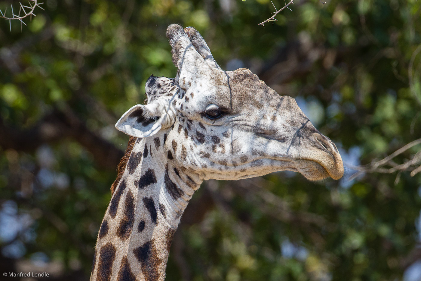2019_Zambia_1D-3694.jpg