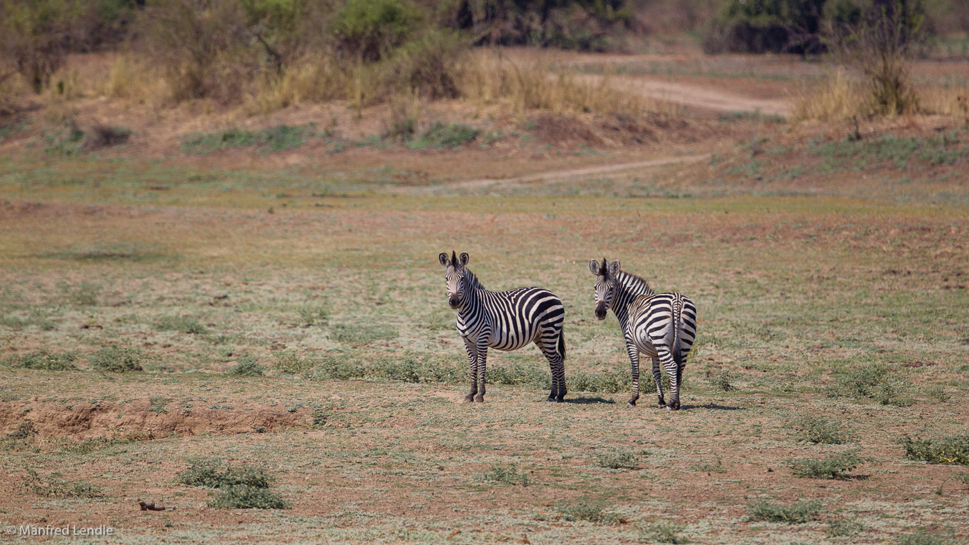 2019_Zambia_1D-4597.jpg