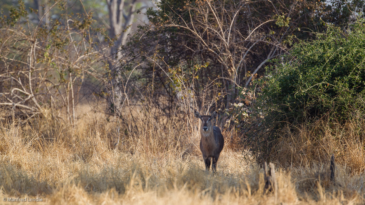 2019_Zambia_1D-5093.jpg