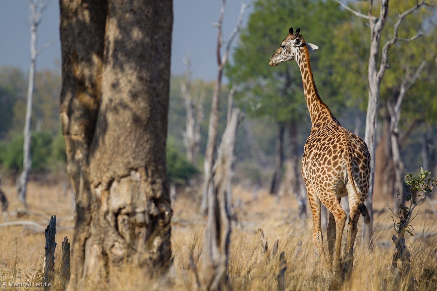 2019_Zambia_1D-5156.jpg