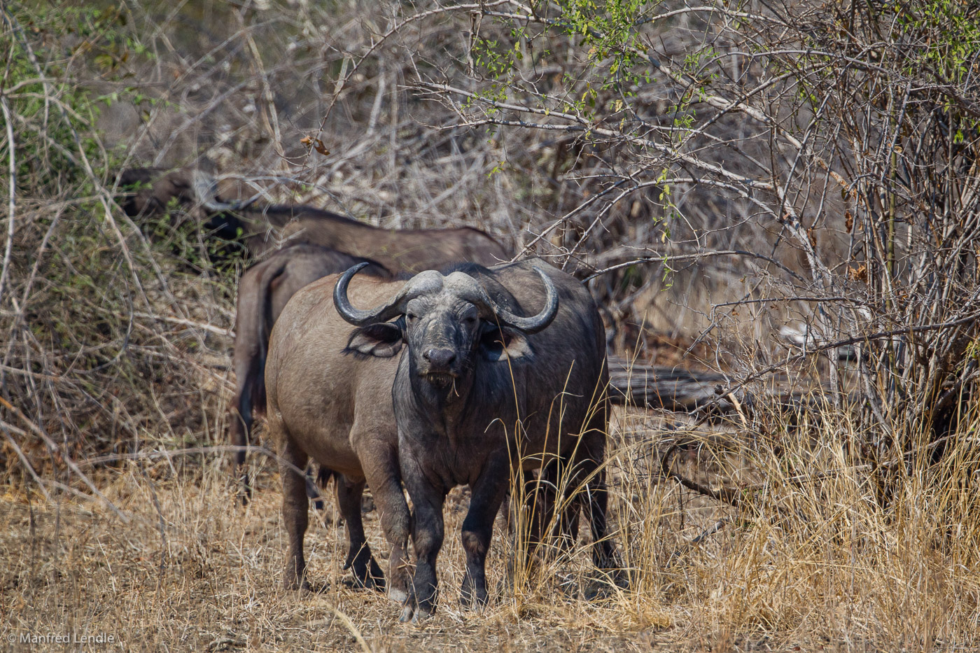 2019_Zambia_1D-5248.jpg
