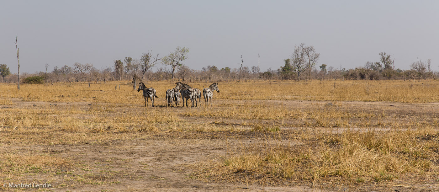 2019_Zambia_5D-3689.jpg