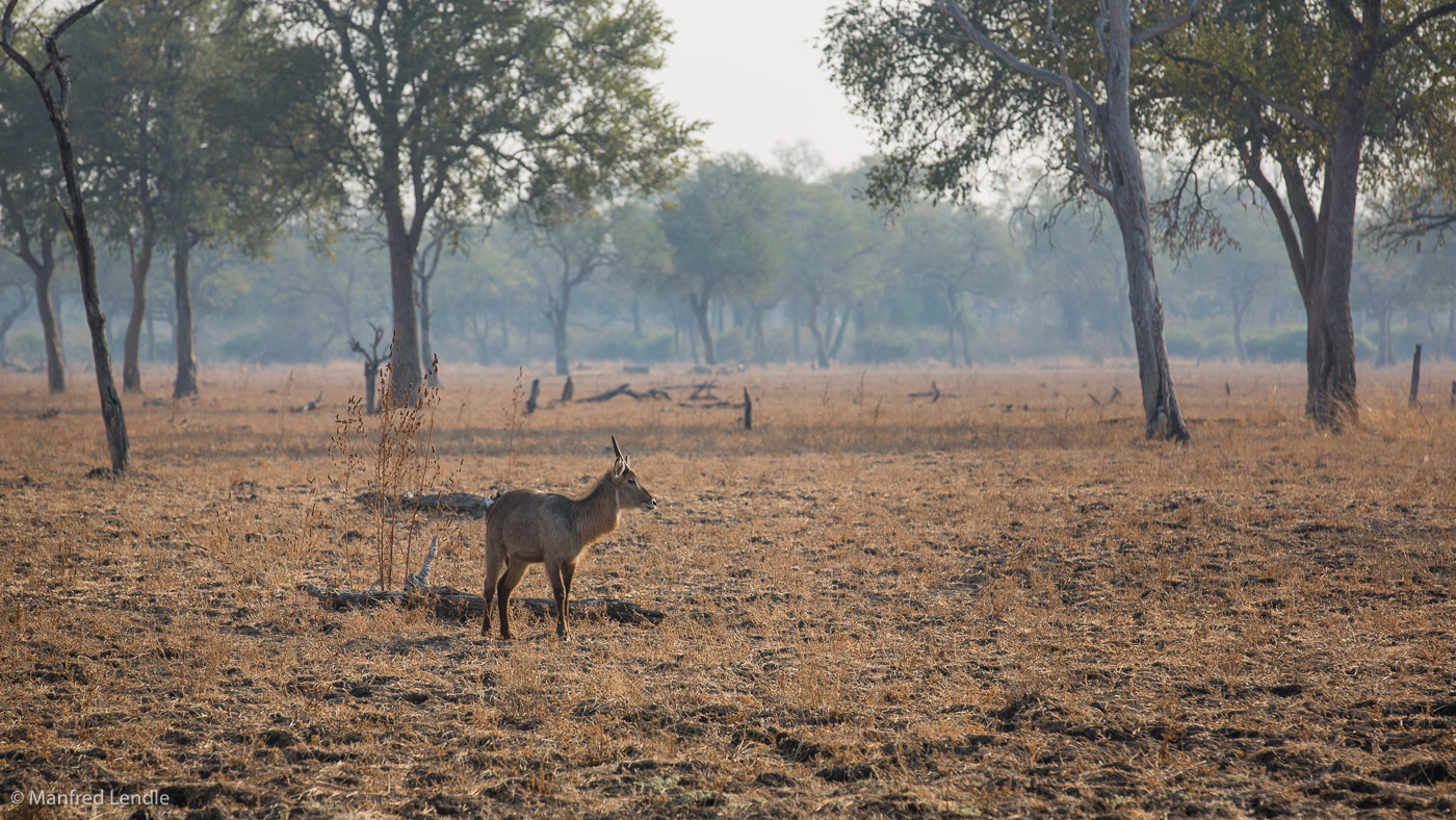2019_Zambia_5D-4002.jpg