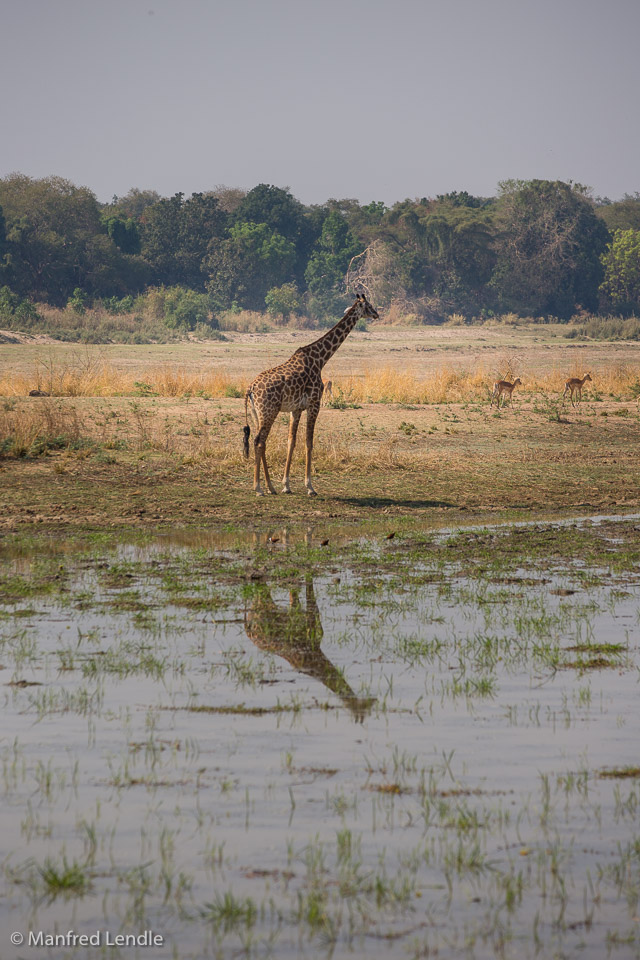 2019_Zambia_5D-4163.jpg
