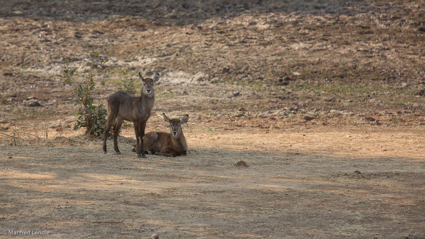 2019_Zambia_5D-4478.jpg