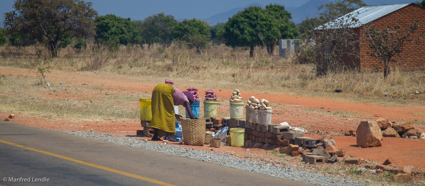 2019_Zambia_1D-5819.jpg