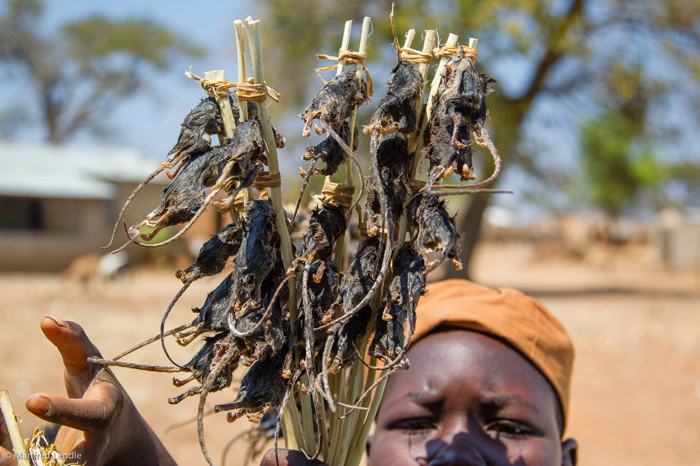 2019_Zambia_1D-5852.jpg