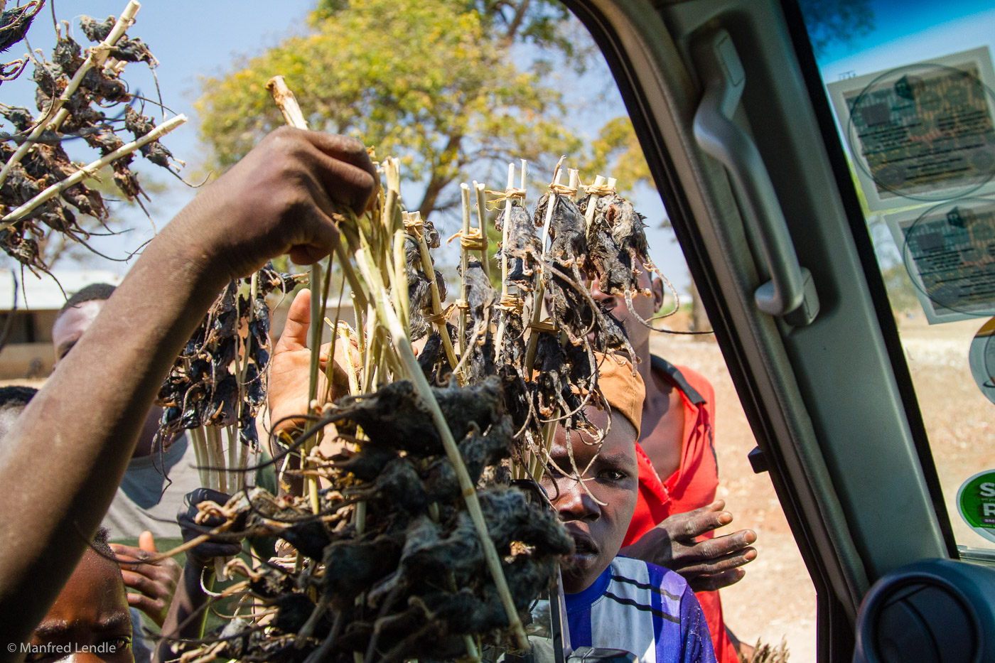 2019_Zambia_1D-5854.jpg