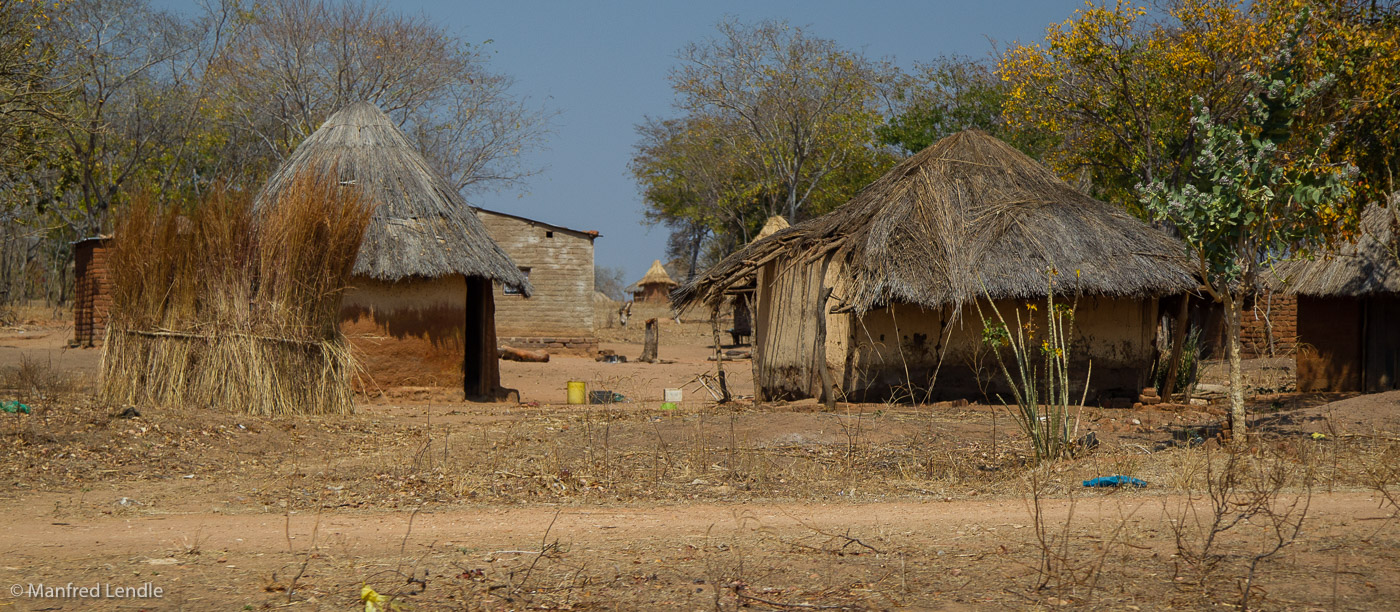 2019_Zambia_1D-5884.jpg