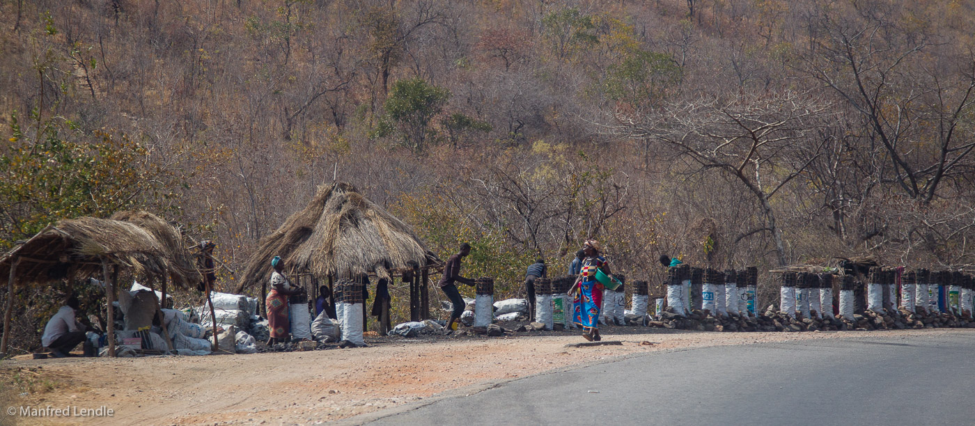 2019_Zambia_1D-5943.jpg