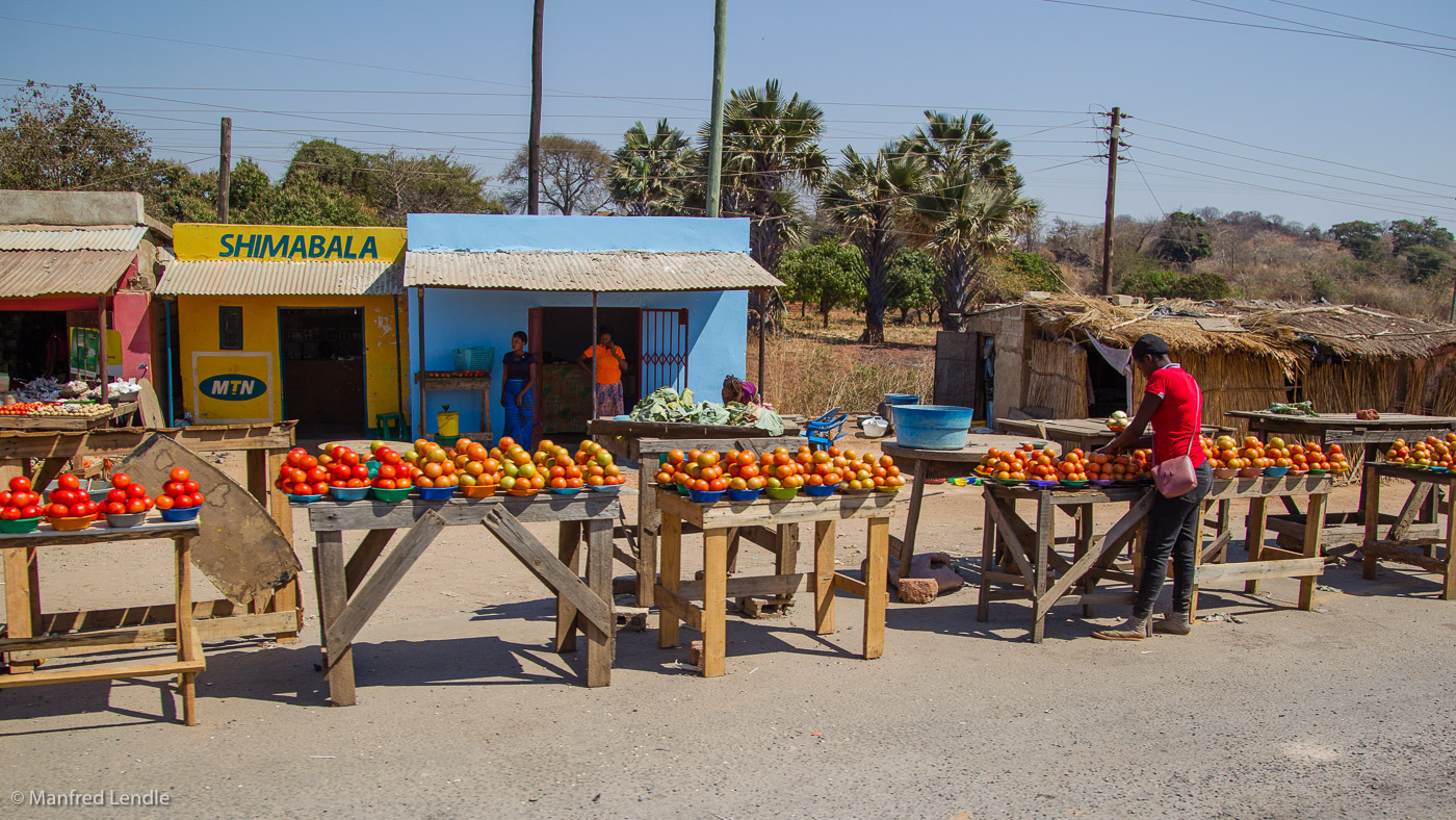 2019_Zambia_1D-7741.jpg