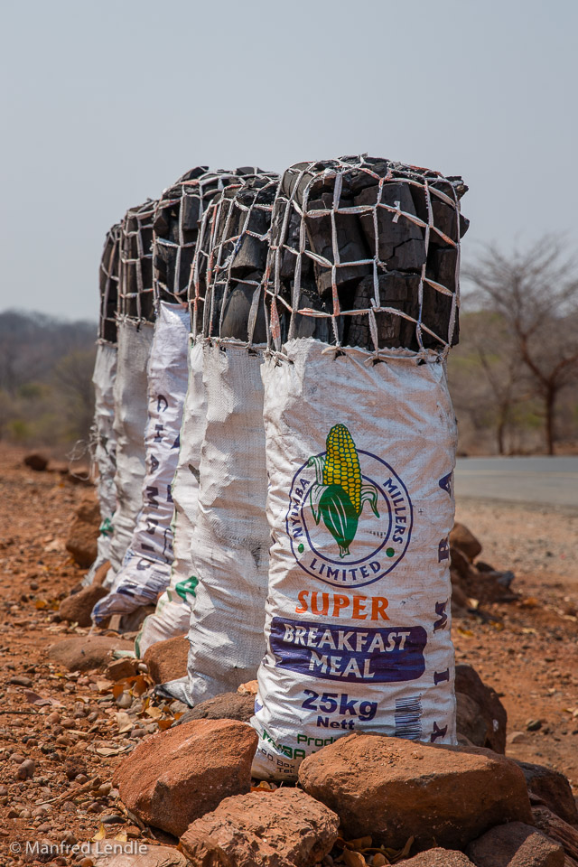 2019_Zambia_5D-5486.jpg