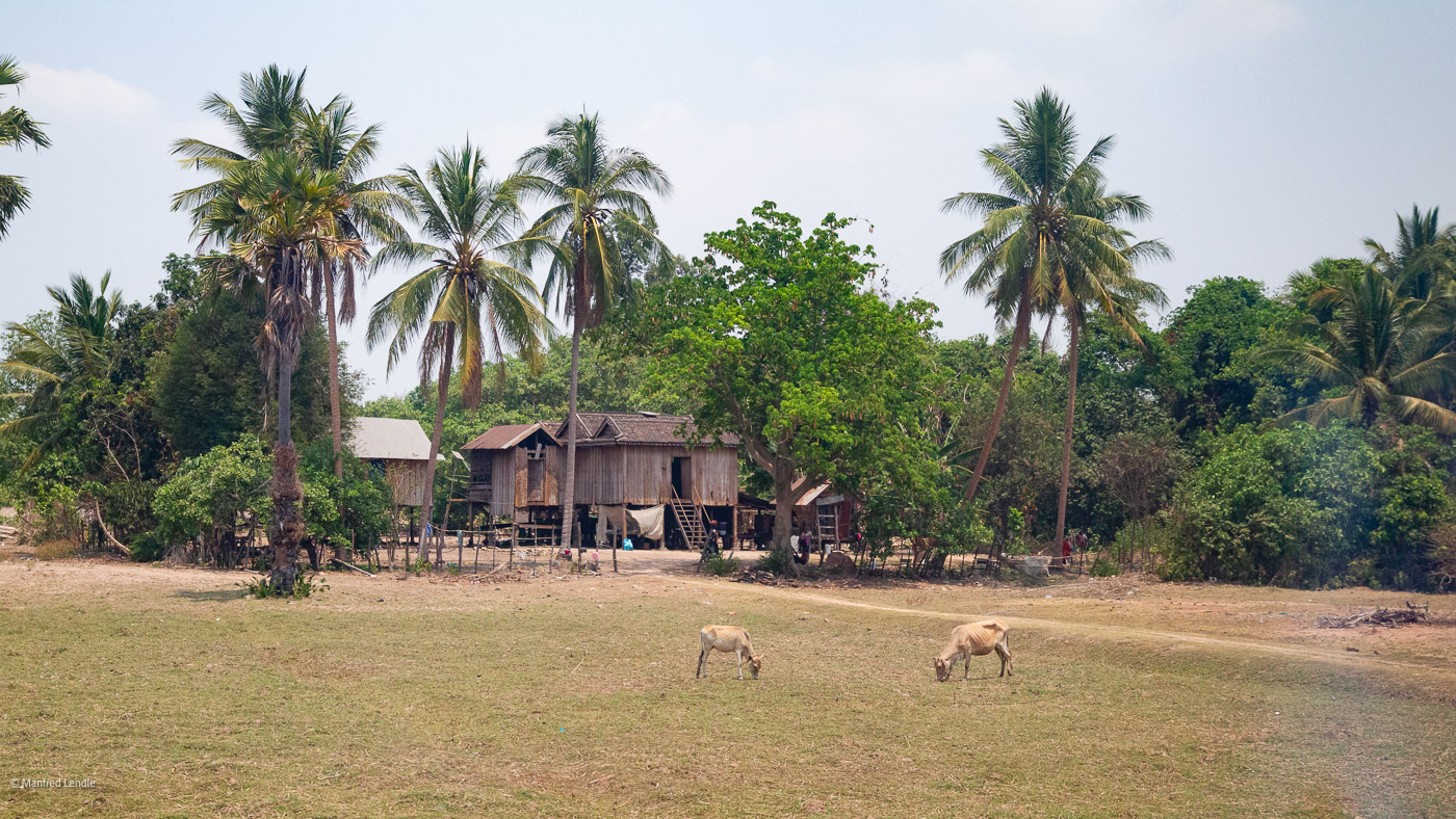 2023_Vietnam-Kambodscha_1D-2462.jpg